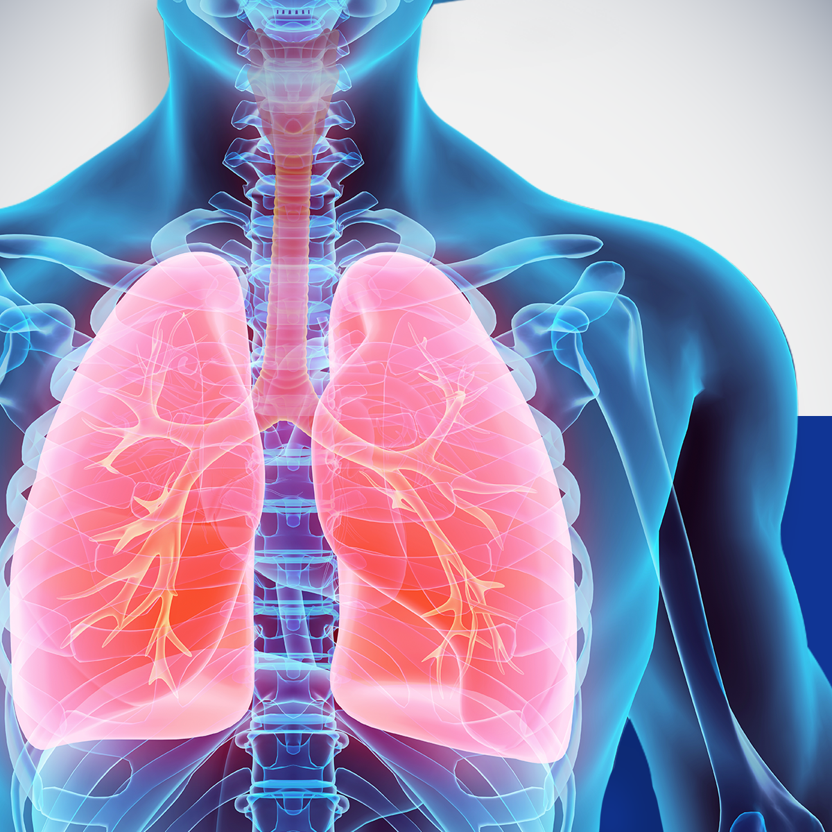 2-pack Enterex ProtiCal Polvo, sabor Vainilla. Lata de 420g.