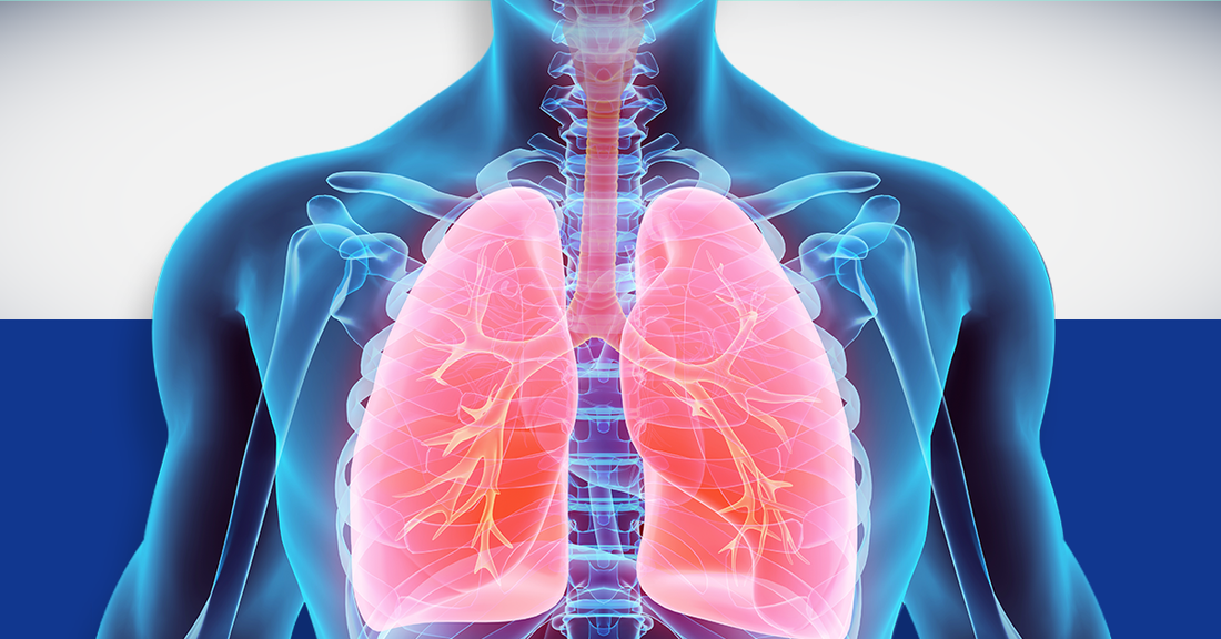 Características de una Fórmula de Alimentación Enteral Especializada para Enfermedades Renales o Pulmonares